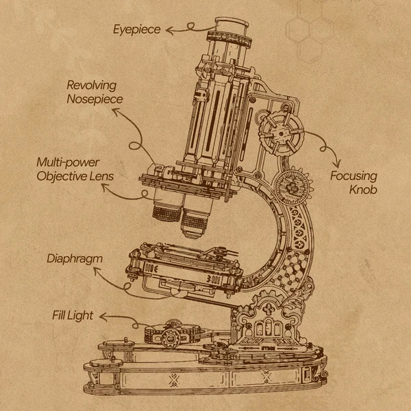 ROKR Mikroskop Mechanisches 3D-Holzpuzzle